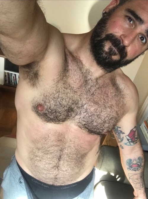 INTERNATIONAL HAIRY MENS CLUB porn pictures