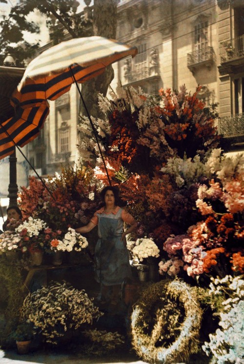 Garden in Bordighera, Italy, 1928.  Autochrome, photograph – Hans Hildenbrand. Flower seller in Barc