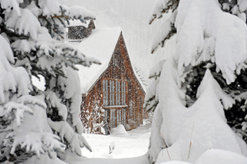 christmas-merry-and-bright: ❄️ Christmas Winter Dreamin ❄️