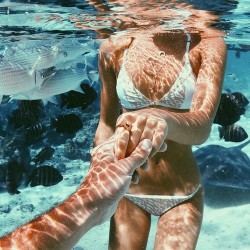 idliveintheocean.tumblr.com post 122656980924