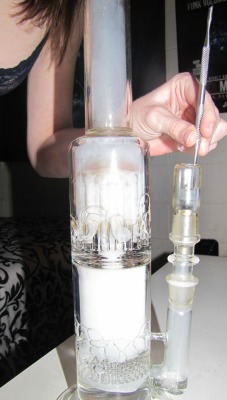 bakedloaf:  Tocahontas dabs, nice but not as great as my baby rigs.