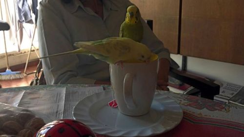 Tea time!!!