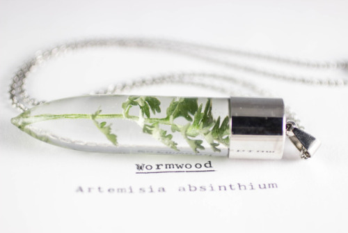 mossofthewoodsjewelry:Wormwood (Artemisia absinthium)