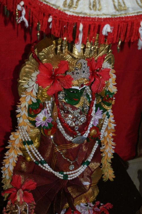 My household Durga Puja