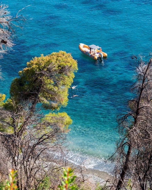 Swimming in the crystal waters of Alonissos and enjoying the verdant nature!www.alonissos.grHari (in