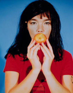 goneg0: bjork | joseph cultice | 1994