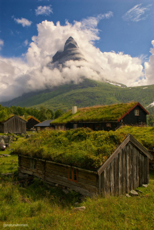 The green roofs and log cabins of Norway’s summer farms. This beautiful collection of log cabi