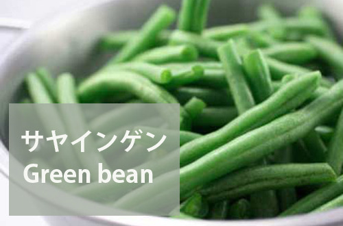 さやいんげん　｜　サヤインゲン　｜　Green beans