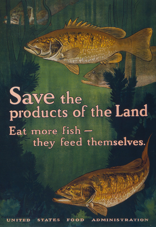 2W87 Vintage WWI Buy Fish Save Meat For Soldiers War WW1 Poster A2 A3 2W87 Vintage WWI Buy Fish Save Meat For Soldiers War WW1 Poster A2 A3