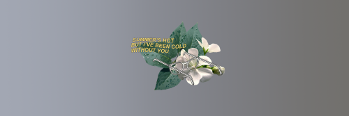 Like & Reblog If Using.  Do Not Repost Without Credits.