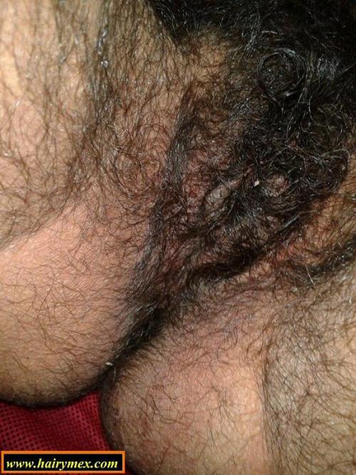 If you really like hirsute women join Hairymex.com