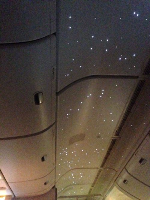 fawnalie:The plane roof has little lights to imitate stars //