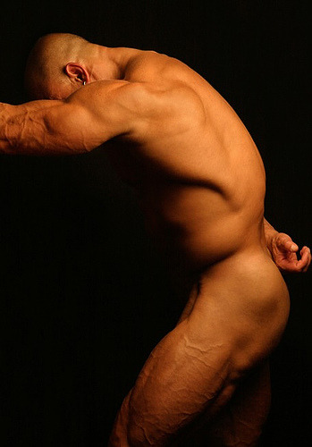 Jockheads adult photos