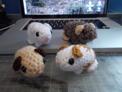 lordaperture:Learning how to create amigurumi