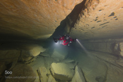 LIFE UNDER THE WAVES