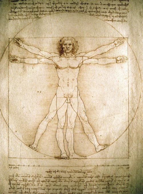 renaissance-art:  Renaissance Art A-Z L: Leonardo da Vinci 