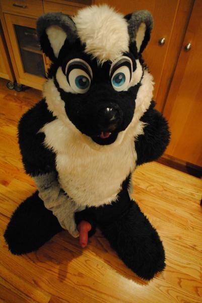 Cute Skunk~