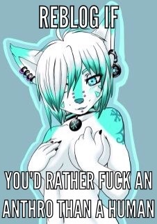 kryia73: sonic01:   gothanku:   caretakerjack:   xxsoul69xx:   darkshadowwolves:   adamdaman11-blog-blog:   its-yiff-time: I most certainly would Yes   Yes   Stupid question ofcourse I would   If I know that she consented and wants to be friends afterward