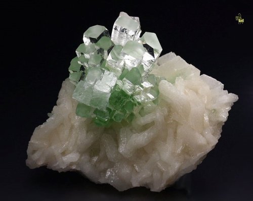 mineralists: Fluorapophyllite-(K) on stilbite - Well No. 3, Mormin Akhada, India