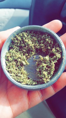 nobodysfuture:  A full grinder means a happy stoner 😏