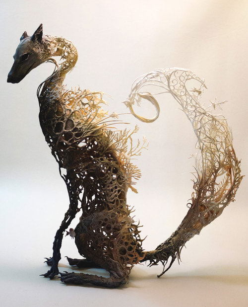 The Natural History Surrealist Sculptures of Ellen Jewett-The wild and mystical assemblages by artis