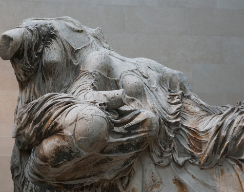 darkmacademia:the parthenon sculptures / british museum, london