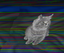 chickenstab: fuuckh8:  i corrupted the image file but the cat is almost 100% in tact and has that smug fucking grin like “haha fuckr cant do shit” fuck you cat fuck you fucking grey cat piece of shit cat  thI S IS MY FAVORITE IMAGE 