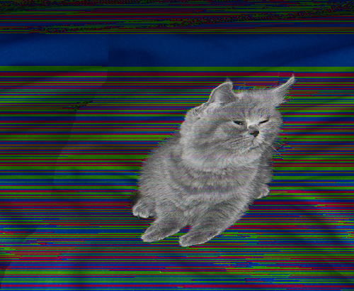 chickenstab:fuuckh8:i corrupted the image file but the cat is almost 100% in tact and has that smug 