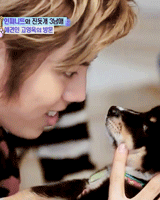 jangdogwoof:  Dongwoo + dogs 