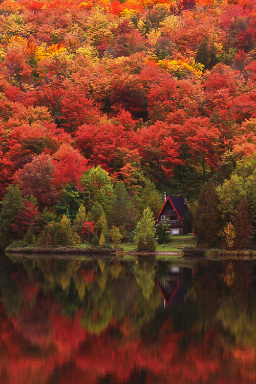coiour-my-world:Autumn at the Lake, The Laurentains, Quebec ~ photo by Alan Marsh