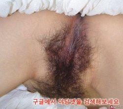 bonjwa1:    한국야사  출처 : 본좌닷컴(http://bj.33.co.kr)