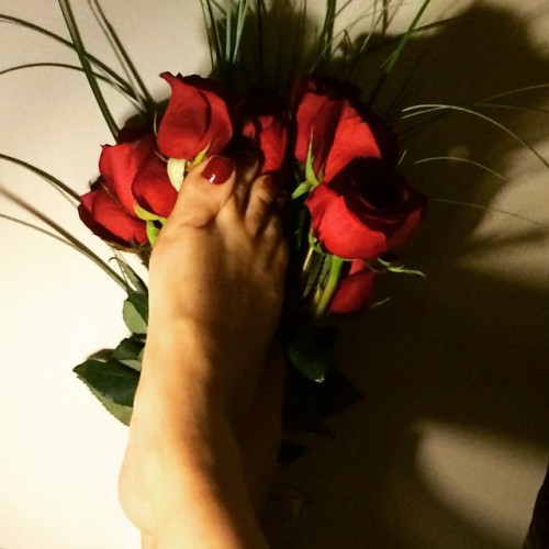 Red nail polish. Red like my roses. #rednailpolish #footfetish #footmistress #footgoddess #footwors