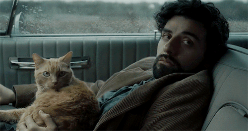 tumblr_p1sg6vJdlS1r09qfio2_r1_500.gifv