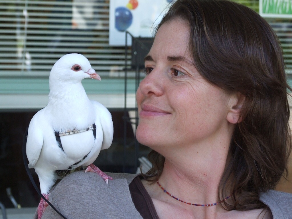 certifiedcervine: I’m really tired of the idea that all zoos or exotic pet owners