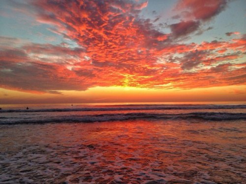 letslivebythesea:  Ocean and Beach Posts