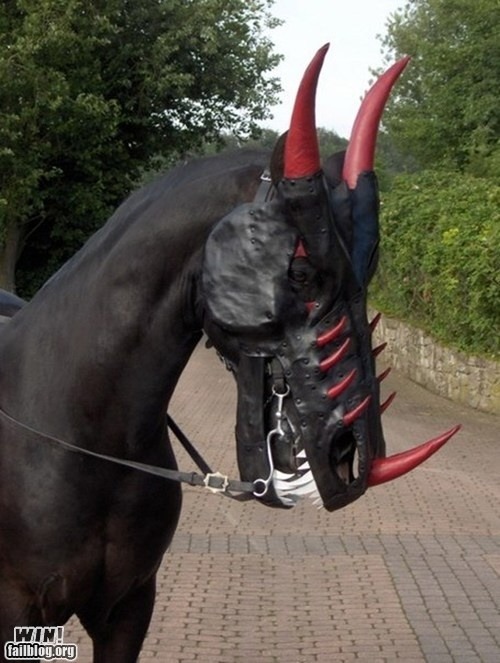 Huge WIN for live animal props!! ^O^ This looks way to cool!! :D Now if only&hellip;. :3 lol pic