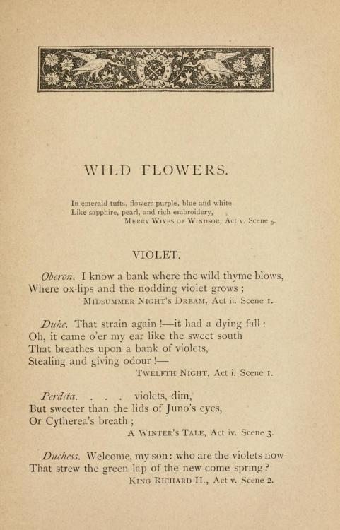 starrydiadems:A page of Natural History of Shakespeare arranged by Bessie Mayou (1877).