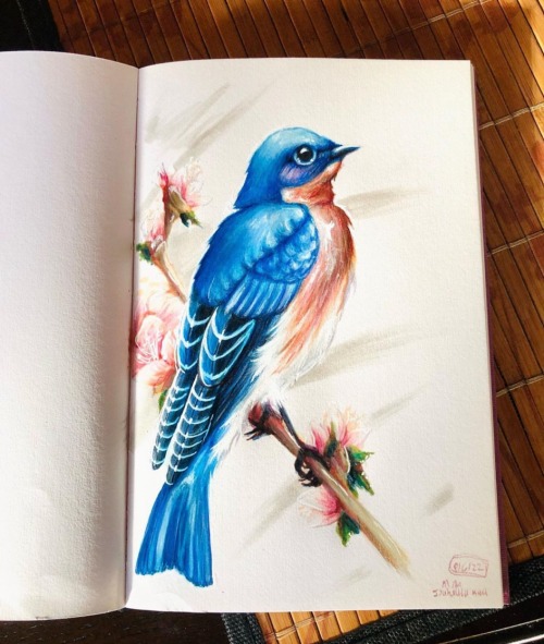 Birb.