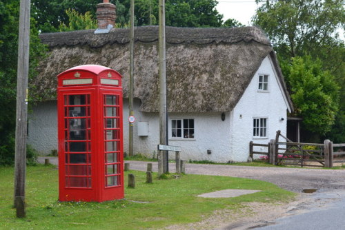 Telephone box and thatched cottage, Norleywood