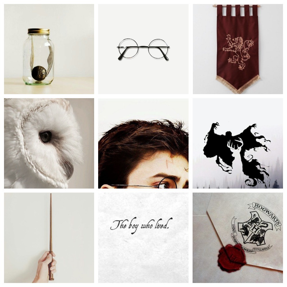 StasyaM179 — harry potter characters aesthetics Harry Potter