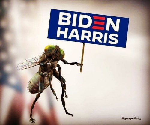 Riden with Biden! The fly and me! Let’s
