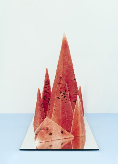 bacteriia:  David Abrahams’ Still Life Photography  
