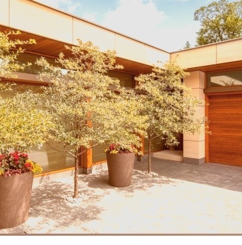 Contemporary Landscape MinneapolisThis Is An Illustration Of A Sizable, Modern Front Yard Brick Landscaping