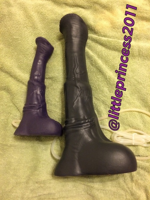 littleprincess2011: My medium Chance compared to my brand new XL Chance.  I cannot wait to play with
