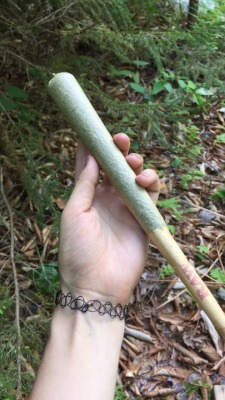 shay-gnar:  a ridiculously huge joint someone had at the festival 