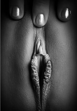 Black and white erotic photo