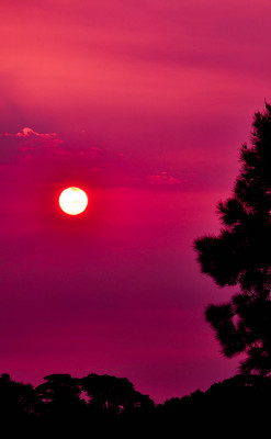 h-vnz:  The Sunset in New Zealand, was caused by the Tasmanian Bush Fire ash in front of the ash.  Picture by Me | 