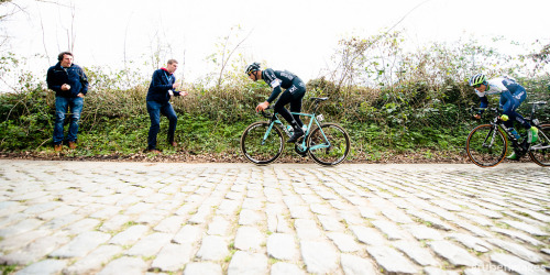 nicknesbitt: thismachinekillscobbles: via gruberimages The boonen on the boonenberg