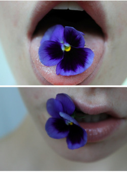 pluviali:  pansy (by capacities) 