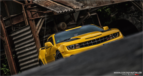 Porn Pics automotivated:  (via 500px / bumblebee by